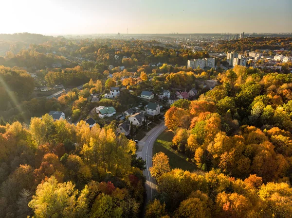 Красочные Лесные Пейзажи Осенью Оранжевой Желтой Листвой — стоковое фото