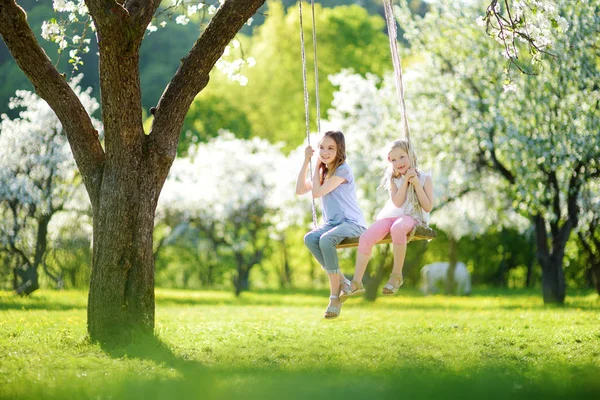 Två Söta Systrar Att Kul Swing Blommande Gamla Apple Träd — Stockfoto