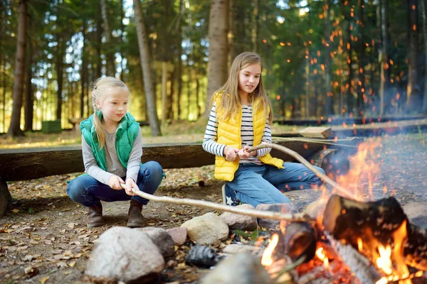 焙煎かわいい妹が森でたき火で棒でホットドッグします — ストック写真