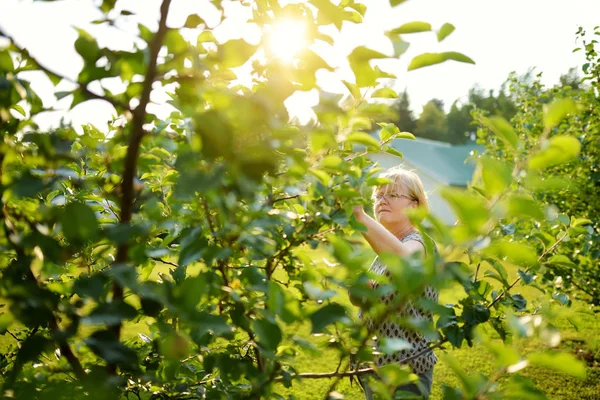 Senior Woman Watering Blossoming Plants Terrace House — Stock Photo, Image