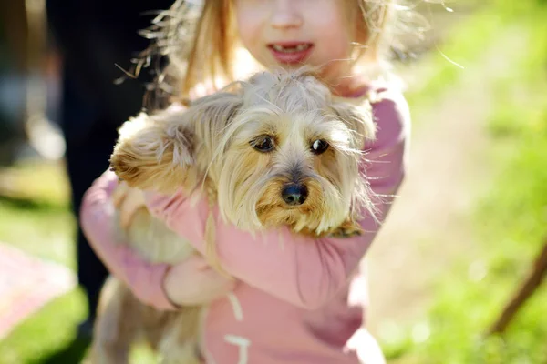 Bonito Menina Segurando Ela Engraçado Yorkshire Terrier Cão — Fotografia de Stock