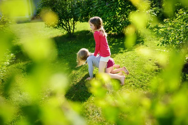 Dvě Roztomilé Sestry Společně Blbnout Trávu Slunečného Letního Dne — Stock fotografie