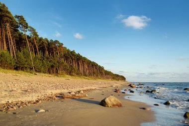 Baltık Denizi sahil hattı Klaipeda city, Litvanya yakınındaki havadan görünümü