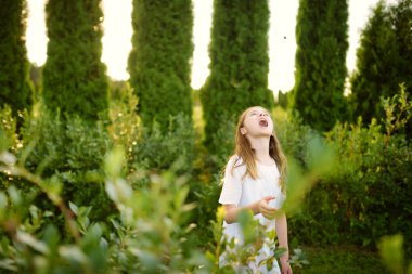 Taze malzeme çekme kız çilek organik blueberry çiftlik üzerinde üzerinde sıcak ve güneşli yaz gün