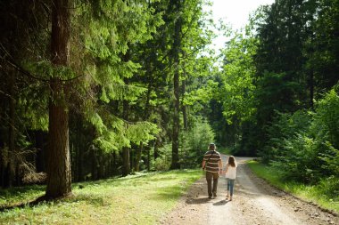 Baba ve kızı ormanda yaz gününde hiking arka görünüm