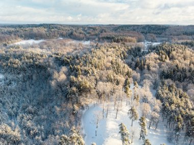 Vilnius, Litvanya yakınındaki güzel karla kaplı çam ormanlarının havadan görünümü