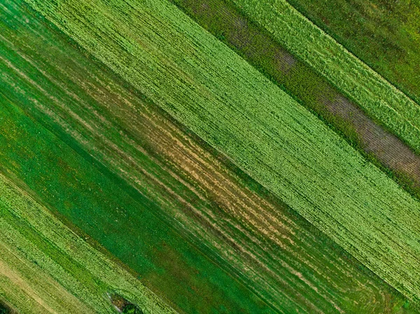 绿色和黄色不同作物的农业地块的几何形状 — 图库照片