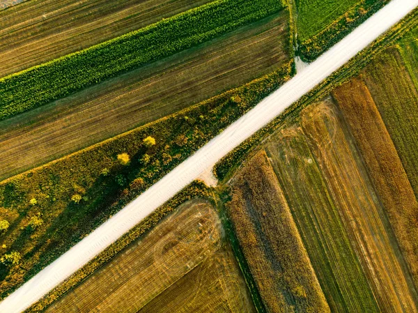 Geometrické Tvary Zemědělských Pozemků Různých Plodin Zelené Žluté Barvy — Stock fotografie