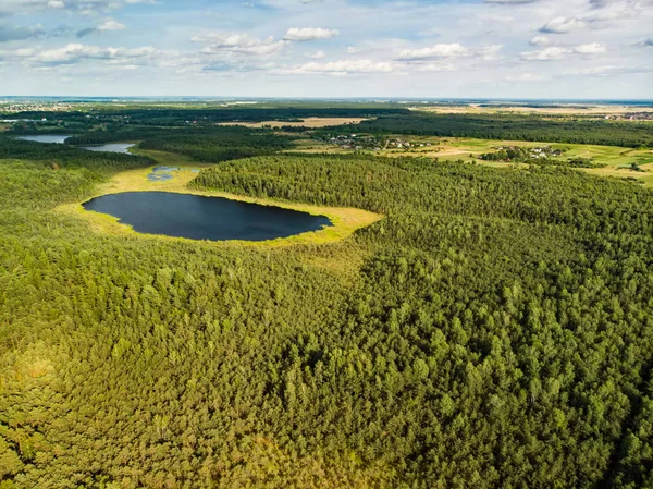 Vue Aérienne Varnikai Chemin Marche Cognitive Menant Travers Les Endroits — Photo