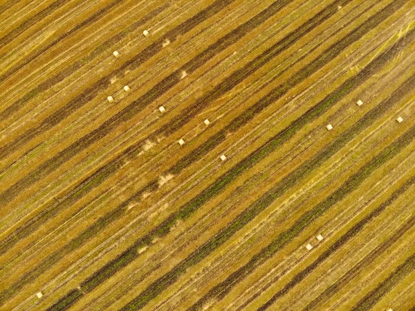 Geometrische Vormen Van Percelen Landbouwgrond Van Verschillende Gewassen Groene Gele — Stockfoto