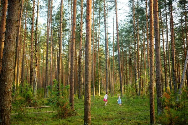 Two Cute Young Sisters Having Fun Forest Hike Beautiful Summer — Stock Photo, Image