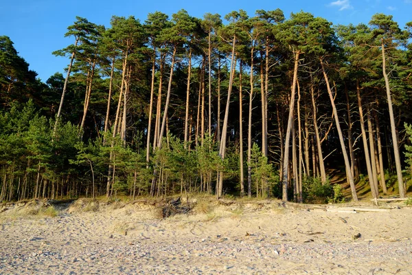 Vue Aérienne Littoral Mer Baltique Près Ville Klaipeda Lituanie — Photo