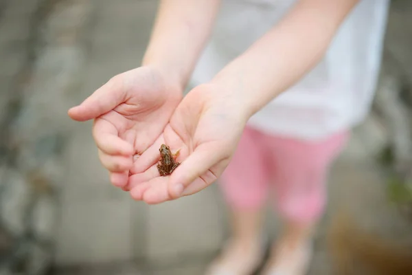 Close Girl Holding Little Babyfrog Hands — Stock Photo, Image