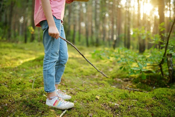 Menina Bonito Divertindo Durante Caminhada Floresta Belo Dia Verão — Fotografia de Stock