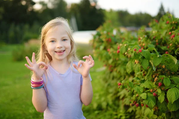 Menina Bonito Colhendo Frutas Frescas Fazenda Framboesa Orgânica Dia Verão — Fotografia de Stock