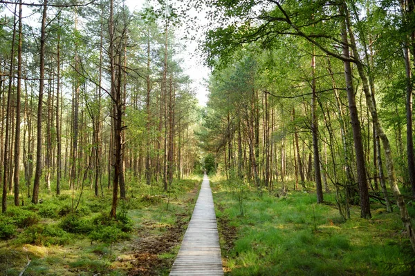 Varnikai Cognitive Walking Way Leading Beautiful Hardly Accessible Places Varnikai — Stock Photo, Image