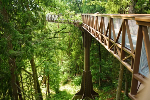 Laju Takas Ağaç Gölgelik Karmaşık Geçit Anyksciai Litvanya Ile — Stok fotoğraf