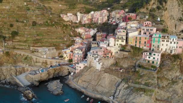 Αεροφωτογραφία Της Manarola Της Δεύτερης Μικρότερης Από Τις Διάσημες Πόλεις — Αρχείο Βίντεο