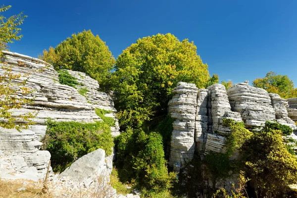 Forêt rocheuse, formation rocheuse naturelle, créée par plusieurs couches de pierre, située près du village de Monodendri dans la région de Zagori, Grèce du Nord . — Photo