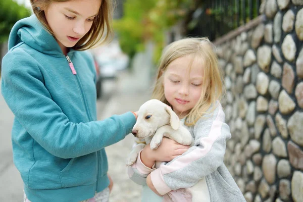 Due giovani sorelle carino tenendo piccolo cucciolo bianco all'aperto. Bambini che giocano con il cane bambino il giorno d'estate . — Foto Stock