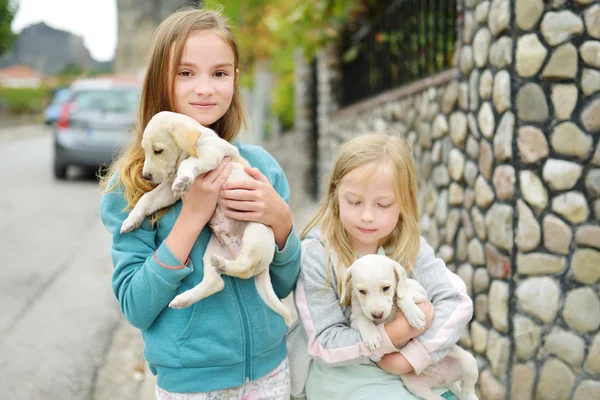 Dwa cute siostry młody na zewnątrz gospodarstwa małe, białe szczenięta. Dzieci gry z baby psy na letni dzień. — Zdjęcie stockowe