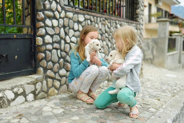 两个可爱的年轻姐妹抱着户外的白色小狗。孩子们在夏天和小狗玩. — 图库照片