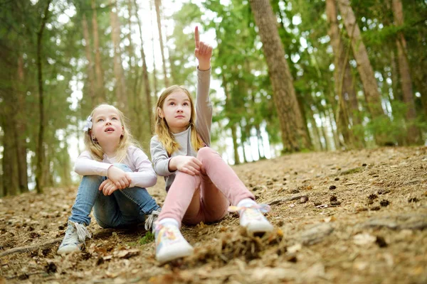 Två Söta Unga Systrar Kul Skogen Vandra Vacker Tidig Vårdag — Stockfoto