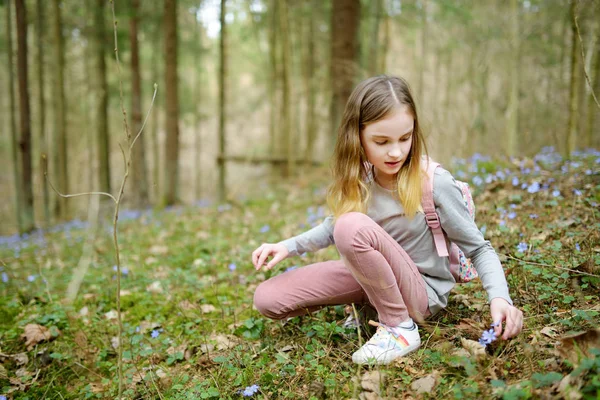 Очаровательная Маленькая Девочка Собирает Первые Цветы Весны Лесу Прекрасный Солнечный — стоковое фото