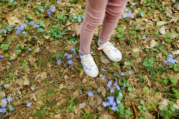 Söt ung tjej att ha kul under skog vandring på vacker tidig vårdag. Aktiv familj fritid med barnen. — Stockfoto