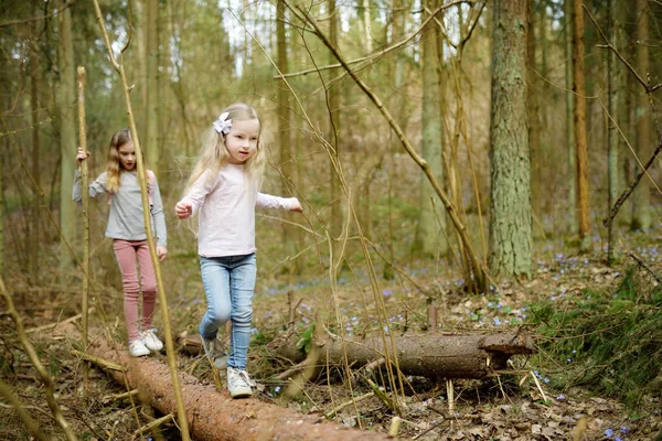 Dos Hermanas Jóvenes Lindas Que Divierten Durante Caminata Por Bosque — Foto de Stock