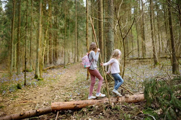 两个可爱的年轻姐妹在美丽的早春那天森林远足时玩得很开心 积极的家庭休闲与孩子 家庭乐趣 — 图库照片