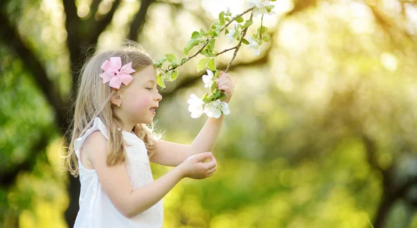 美しい春の日に咲くアップル ツリー庭で愛らしい少女 新鮮なリンゴの木の花をついばんで春かわいい子 — ストック写真