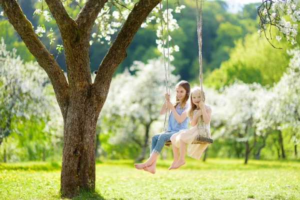两个可爱的姐妹在阳光明媚的春天 在户外盛开的老苹果树花园荡秋千上玩得很开心 儿童春季户外活动 — 图库照片