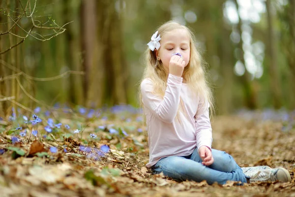 Bedårande Liten Flicka Plocka Första Blommorna Våren Skogen Vacker Solig — Stockfoto