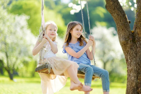 Zwei Süße Schwestern Amüsieren Sich Einem Sonnigen Frühlingstag Auf Einer — Stockfoto