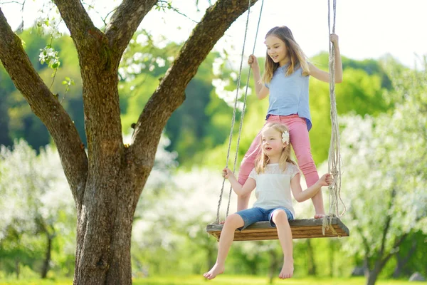 Twee Schattige Zusters Plezier Een Schommel Bloeiende Oude Apple Tree — Stockfoto