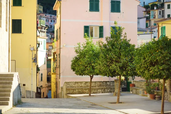 Casas de pasteles de Riomaggiore, el más grande de los cinco pueblos centenarios de Cinque Terre, Riviera Italiana, Liguria, Italia . — Foto de Stock