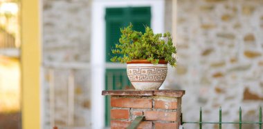 Corniglia sokakta güzel çiçek saksı, Cinque Terre, İtalyan Rivierası, Liguria, İtalya beş asırlık köylerin ortasında yuvalanmış.