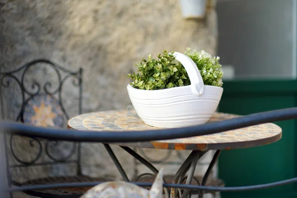 Mooie bloempot op de straat van Corniglia, genesteld in het midden van de vijf eeuwenoude dorpjes van Cinque Terre, Italiaanse Rivièra, Ligurië, Italië. — Stockfoto