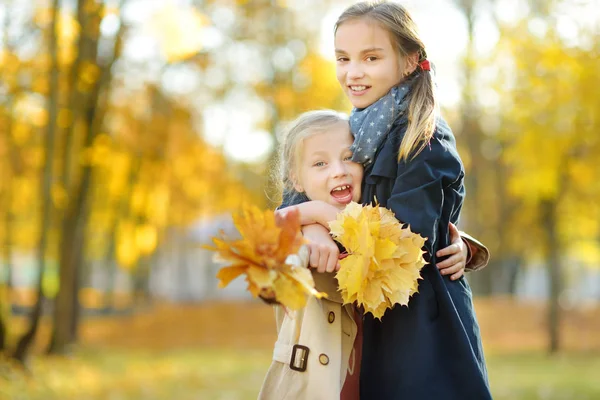 Dos hermanas jóvenes lindas divirtiéndose en hermoso día de otoño. Niños felices jugando en el parque de otoño. Niños recogiendo follaje de otoño amarillo . —  Fotos de Stock