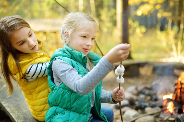 Aranyos fiatal nővérek pörkölés mályvacukrot a botot máglyán. Gyerekek szórakozik a tábortűz. Kemping gyerekekkel ősszel erdőben. — Stock Fotó