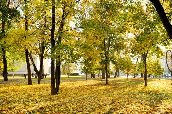 Colorida escena del parque de la ciudad en el otoño con follaje amarillo. Hermoso paisaje otoñal en Vilna, Lituania . —  Fotos de Stock