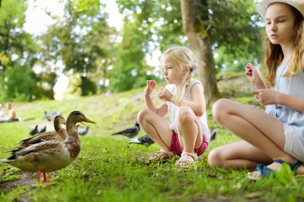 Dos monas hermanitas alimentando pájaros el día de verano. Niños alimentando palomas y patos al aire libre . — Foto de Stock