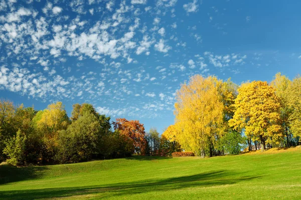 Bunte Stadtpark-Szene im Herbst mit gelbem Laub. schöne herbstliche Landschaft in Vilnius, Litauen. — Stockfoto
