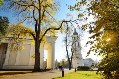 Sarı yeşillik ile sonbaharda renkli şehir parkı sahne. Vilnius, Litvanya'da güzel sonbahar manzarası.