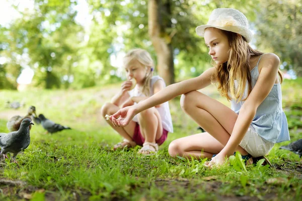 Twee schattige kleine zusters voeden vogels op zomerdag. Kinderen voeden duiven en eenden buitenshuis. — Stockfoto