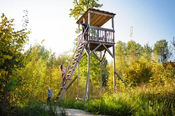 Padre e figli si divertono alla torre di osservazione sulla strada cognitiva Tauciuliskes, che conduce attraverso la bellissima foresta autunnale al lago Tauciliuskes, Lituania — Foto Stock
