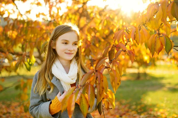 美しい秋の日に楽しみを持っている愛らしい若い女の子。秋の公園で遊ぶ幸せな子供。黄色い紅葉を集める子供. — ストック写真