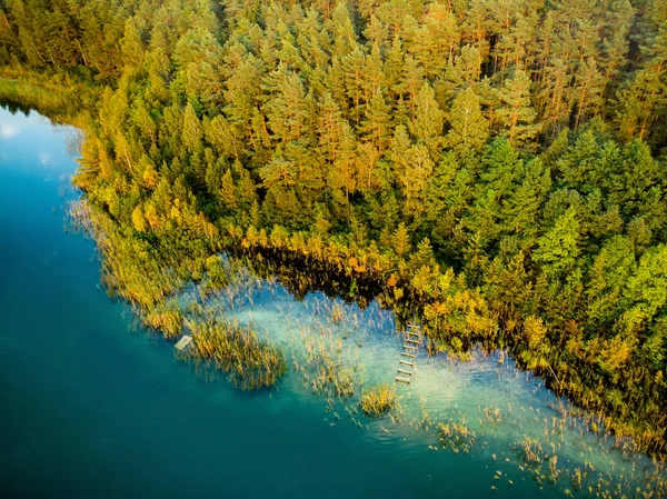 Vue aérienne du haut vers le bas des belles eaux vertes du lac Gela. Oiseaux vue sur le lac émeraude pittoresque entouré de forêts de pins . — Photo