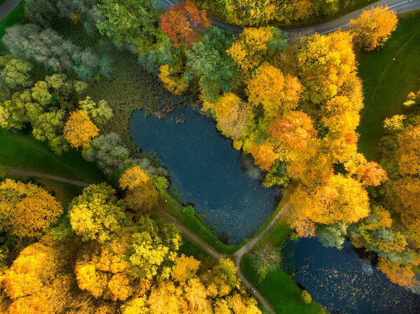 Birds eye view of autumn forest and a small lake. Aerial colorful forest scene in autumn with orange and yellow foliage. Fall scenery in Vilnius, Lithuania.